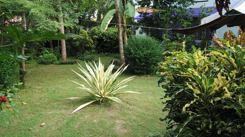 Bed and Breakfast Arabian Soul Варкала Экстерьер фото